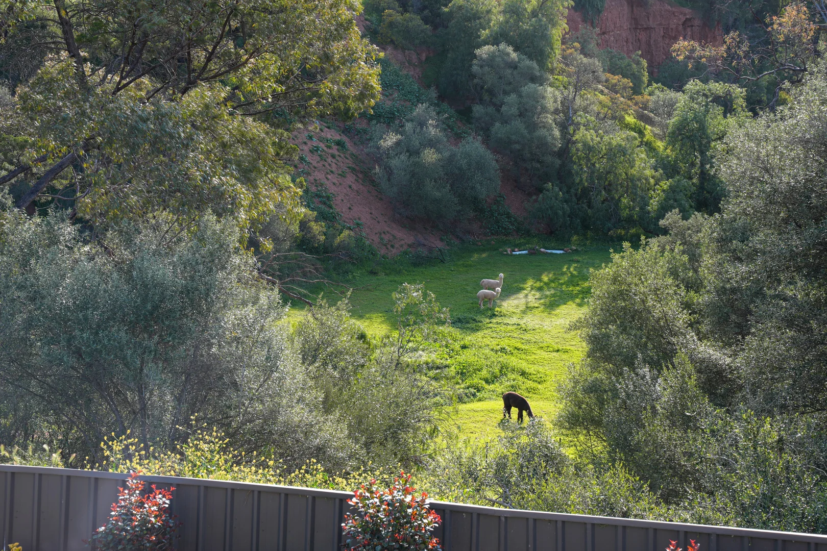 Additional image 33 of 47A East Terrace, Gawler East SA 5118