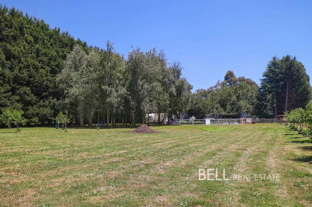 Additional image 21 of 74 Beenak Road, Gembrook VIC 3783