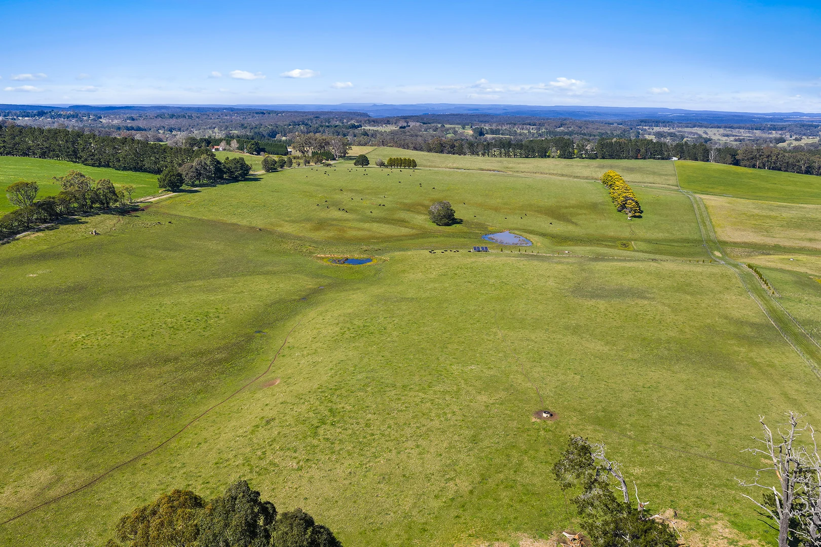 Additional image 5 of Exeter NSW 2579