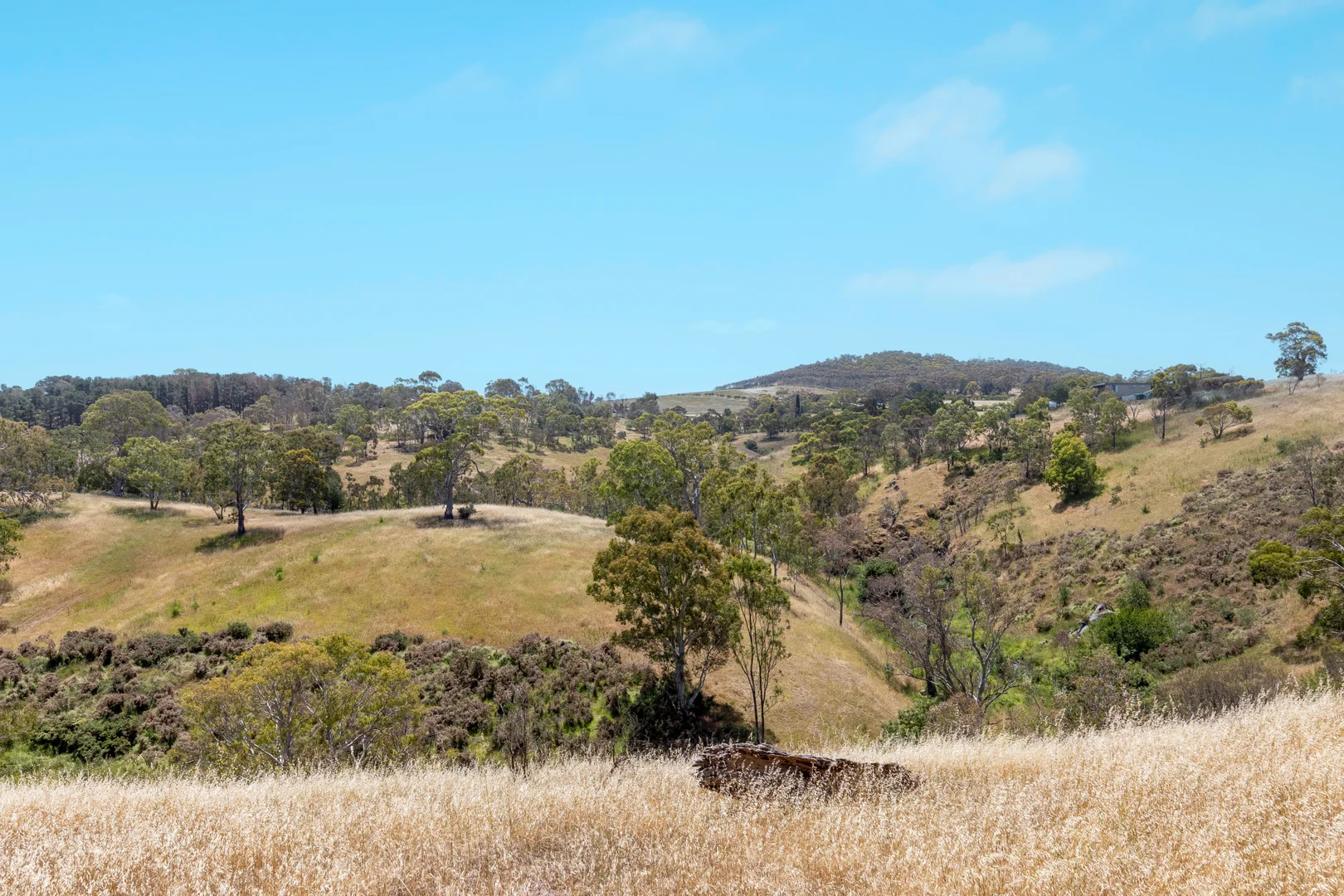 Additional image 27 of 620b Springs Road, Mount Barker Springs SA 5251