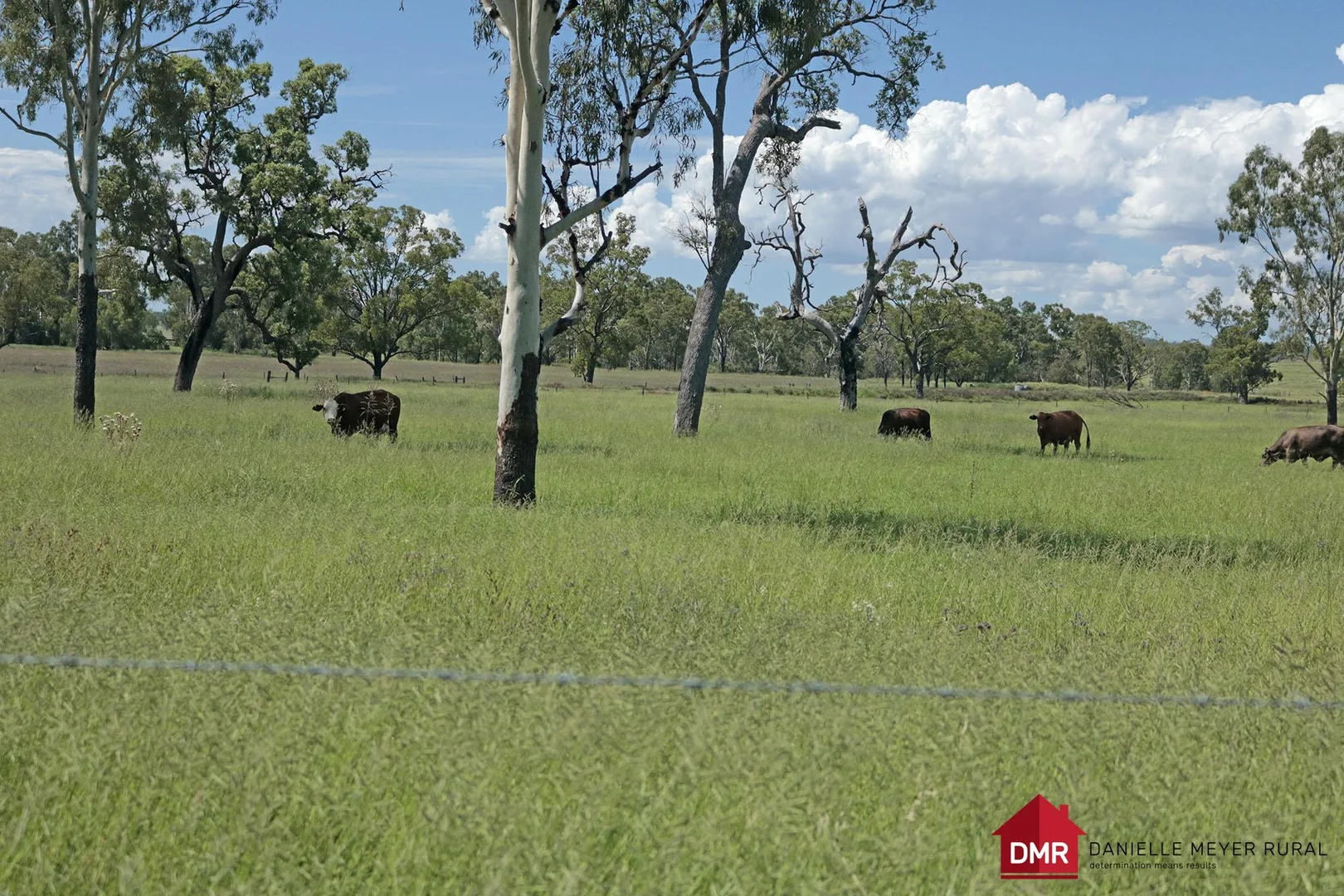 Additional image 9 of 95 Monto Mount Perry Road, Tellebang QLD 4630