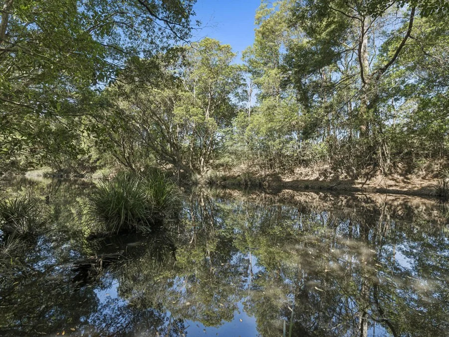 Additional image 5 of Lot 2 Gillards Road, Bucca NSW 2450