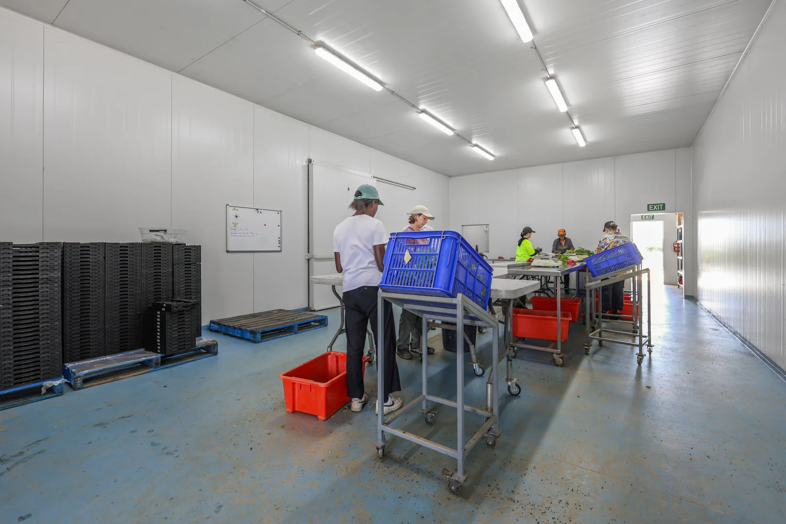 Additional image 23 of 178 Dunns Avenue, Harrisville QLD 4307