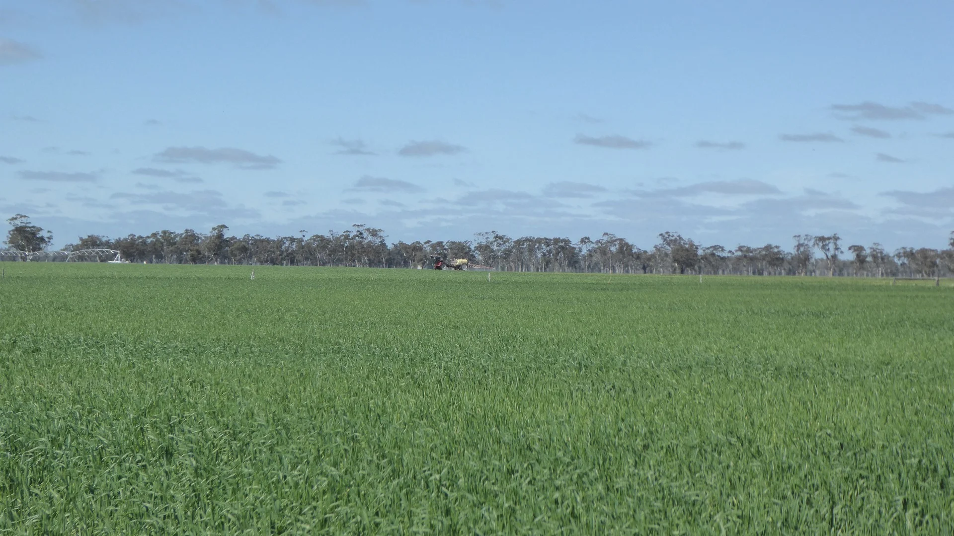 Additional image 2 of 139 Packer Road, Bordertown South SA 5268