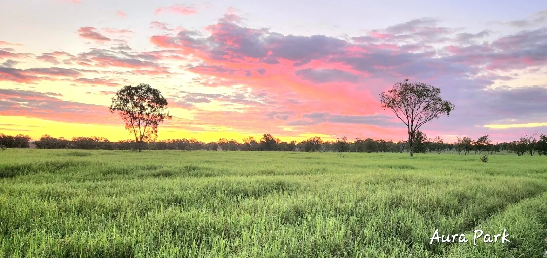 Additional image 17 of 'Aura Park' North Pattens Road, Boynewood, Mundubbera QLD 4626