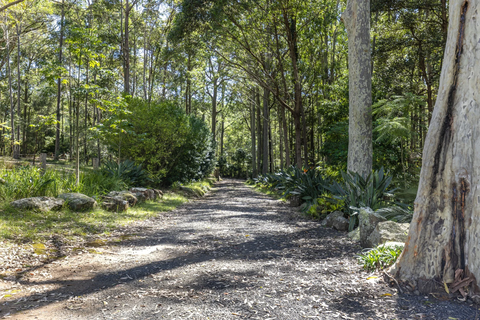 Additional image 20 of 1195 Illaroo Road, Tapitallee NSW 2540