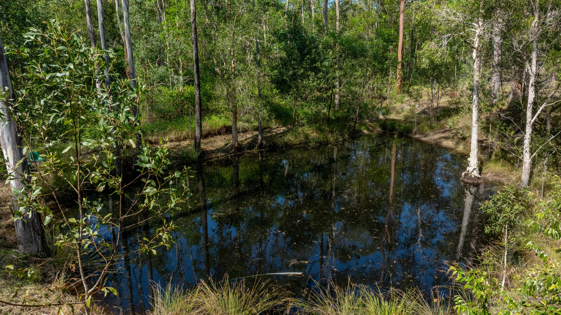 Additional image 25 of 49 Arborfourteen Road, Glenwood QLD 4570