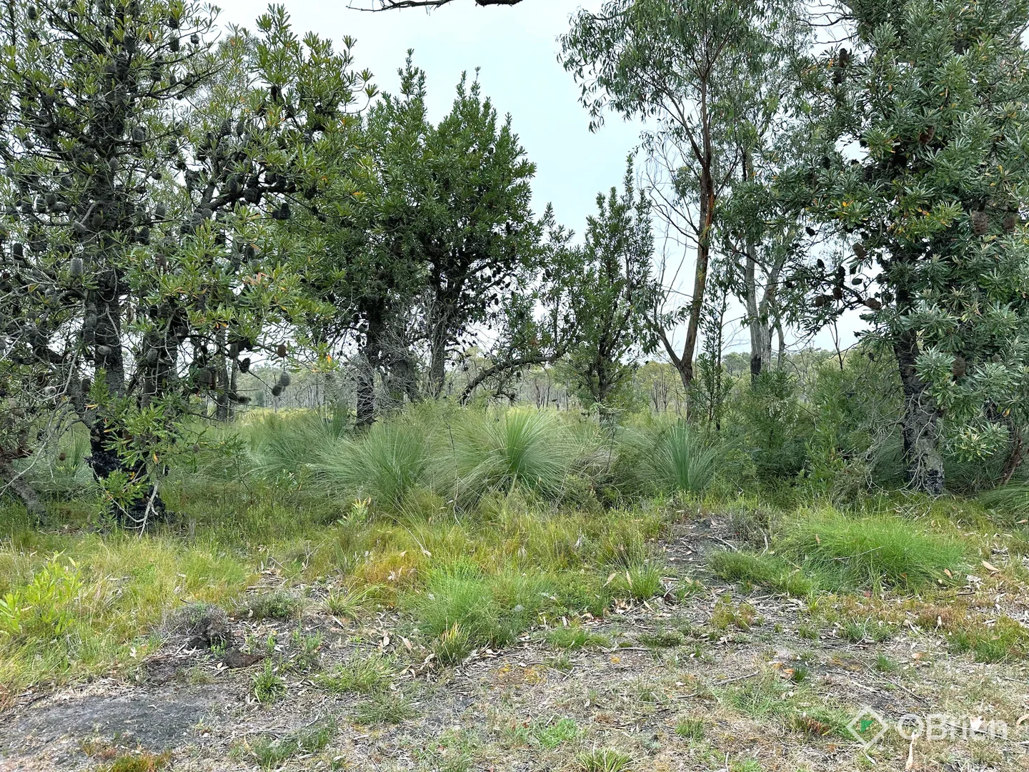 Additional image 9 of 726 Cabbage Tree-Conran Road, Marlo VIC 3888