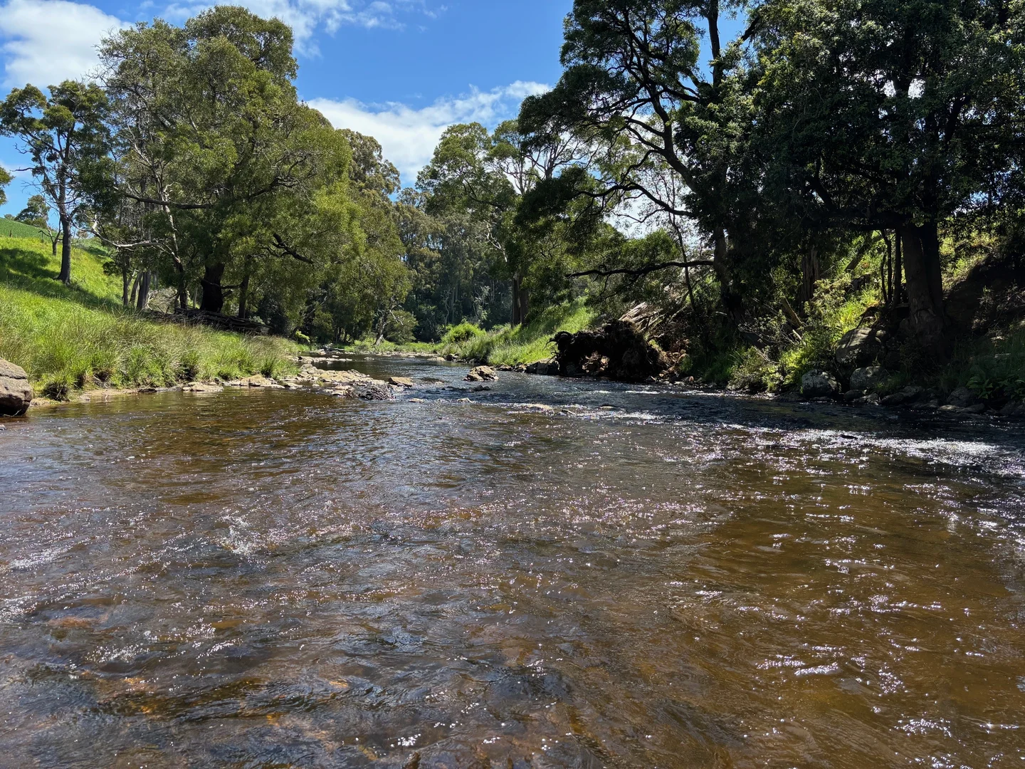 Additional image 5 of 86 Rothwells Road, Sisters Creek TAS 7325