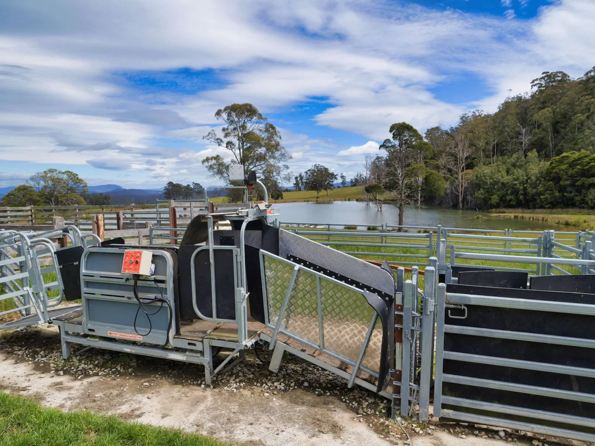 Additional image 8 of 983 Bogan Road, Golden Valley TAS 7304