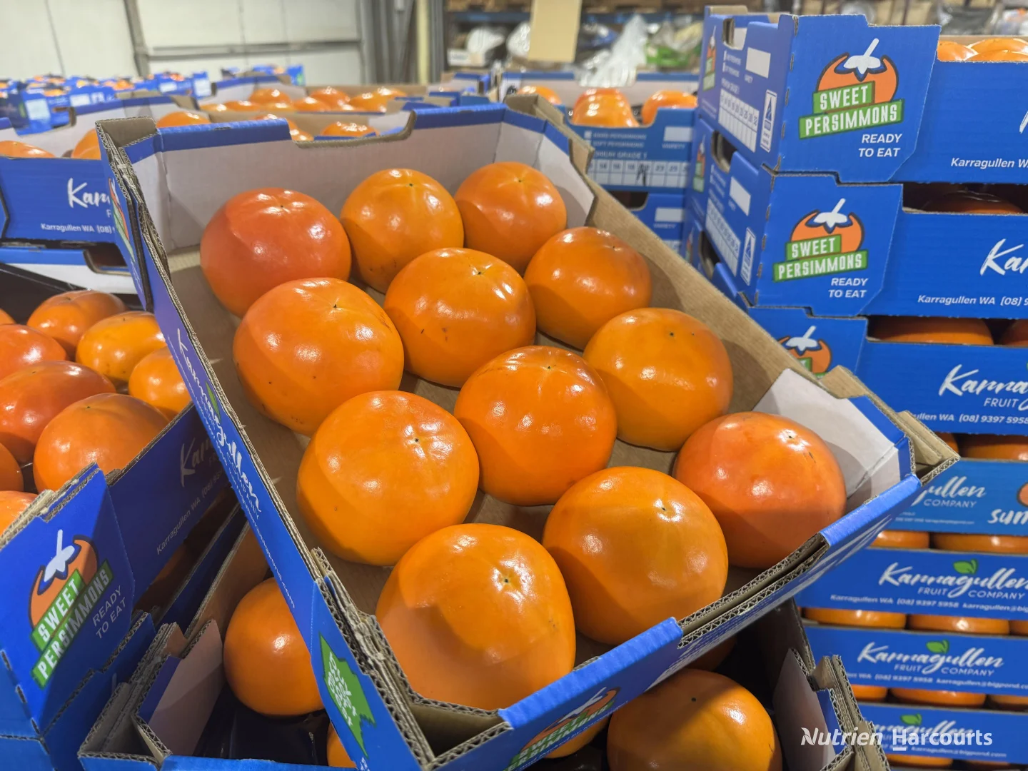 Additional image 7 of 1311 Brookton Highway, Karragullen WA 6111