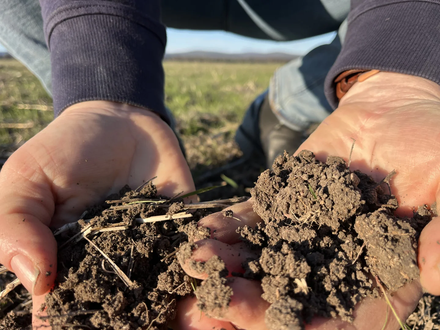 Additional image 2 of 1745 Bimbi Caragabal Road, Bimbi NSW 2810