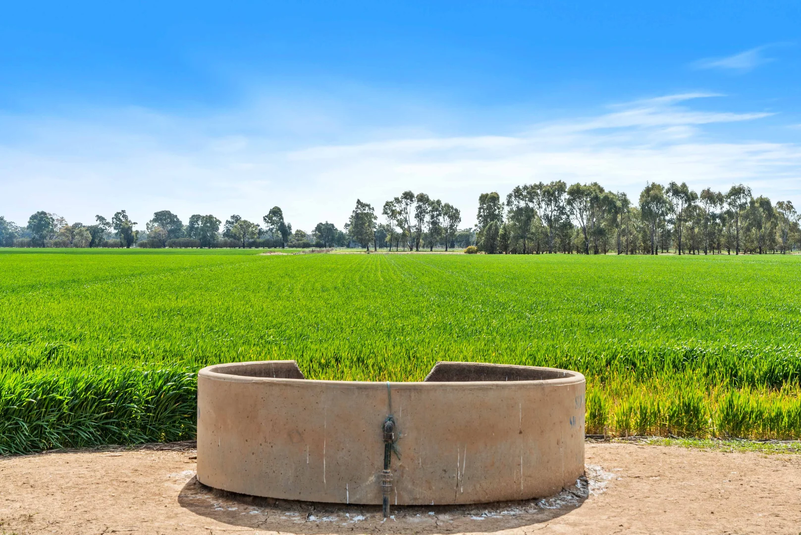 Additional image 15 of Pinewood, 870 Walshs Bridge Road, Kaarimba VIC 3635