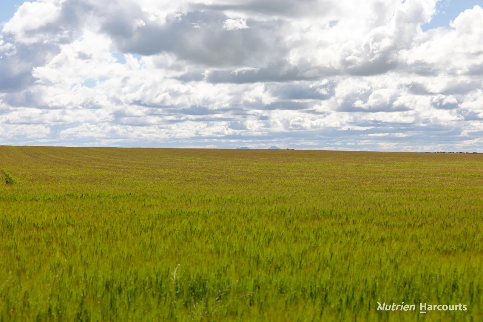 Additional image 10 of . Rollond Road, Cascade WA 6450