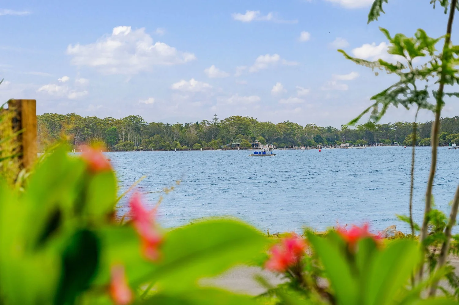 Additional image 14 of 142 Settlement Point Road, Port Macquarie NSW 2444