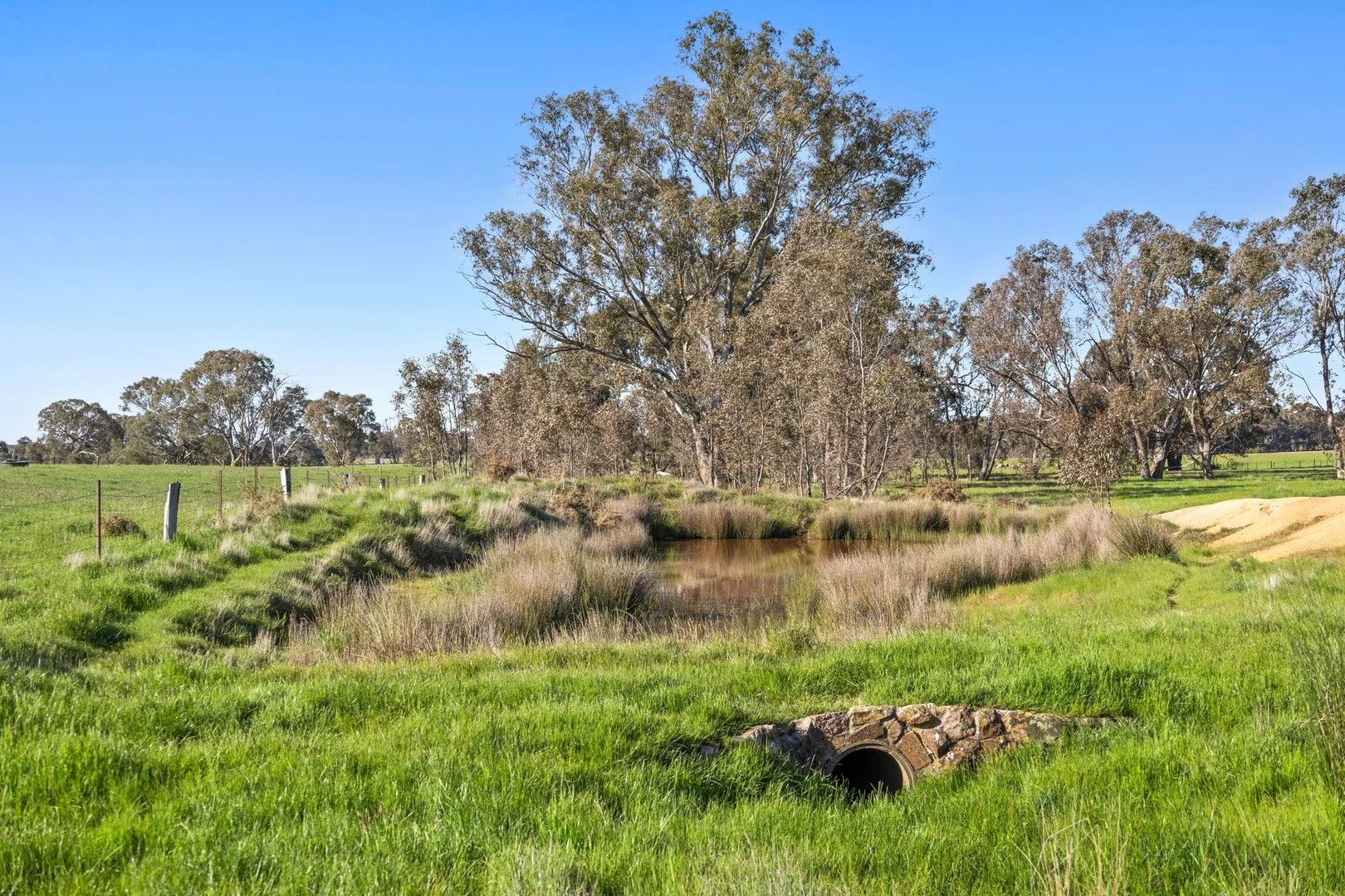 Additional image 14 of 189 Siddles Road, Redesdale VIC 3444