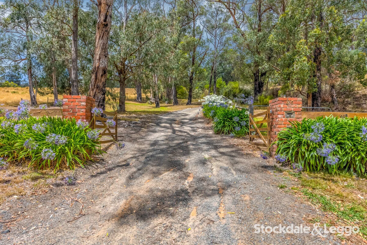 Additional image 42 of 415 Traralgon Balook Road, Callignee VIC 3844