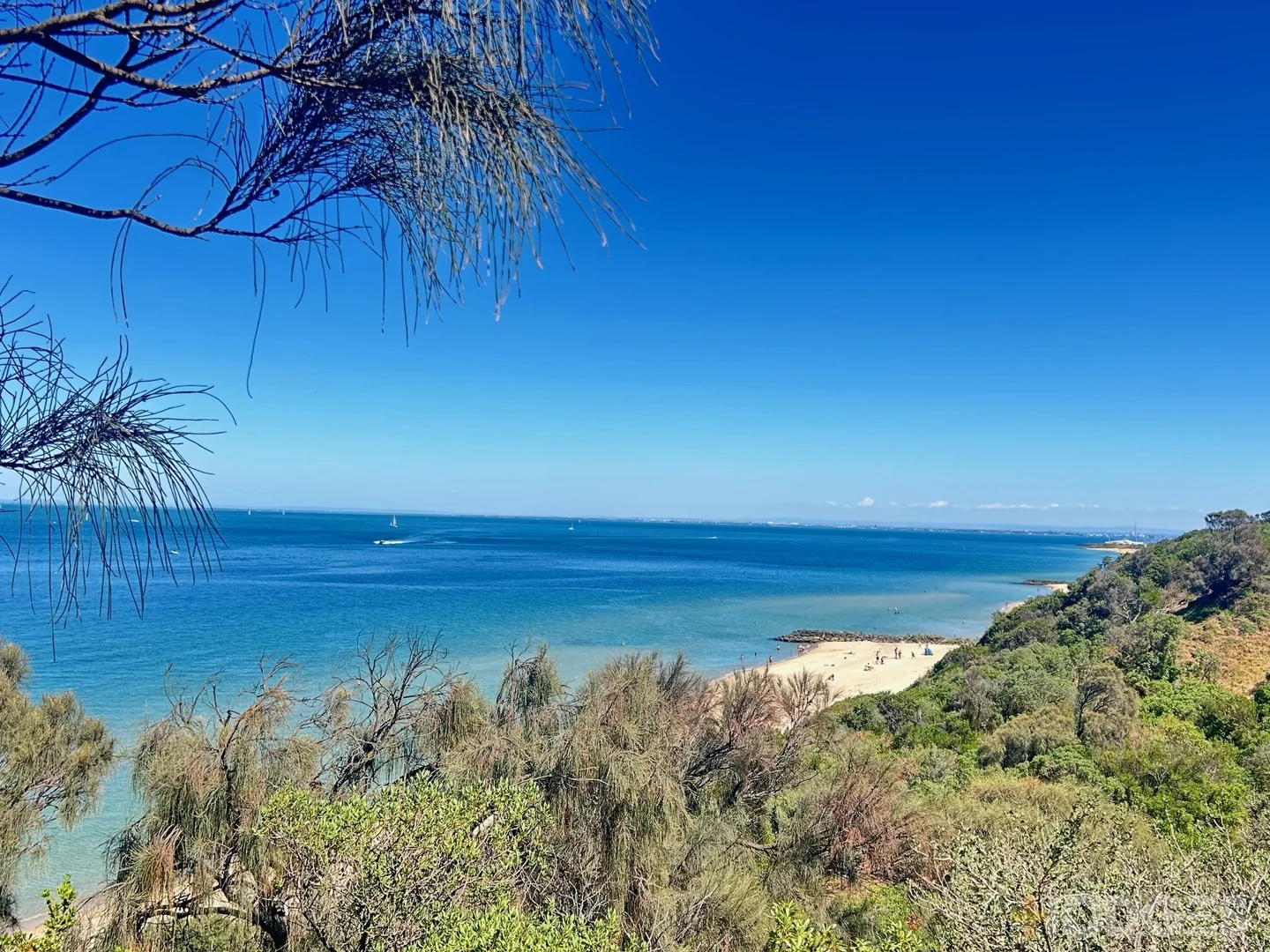 Additional image 11 of 20/22 Abbott Street, Sandringham VIC 3191