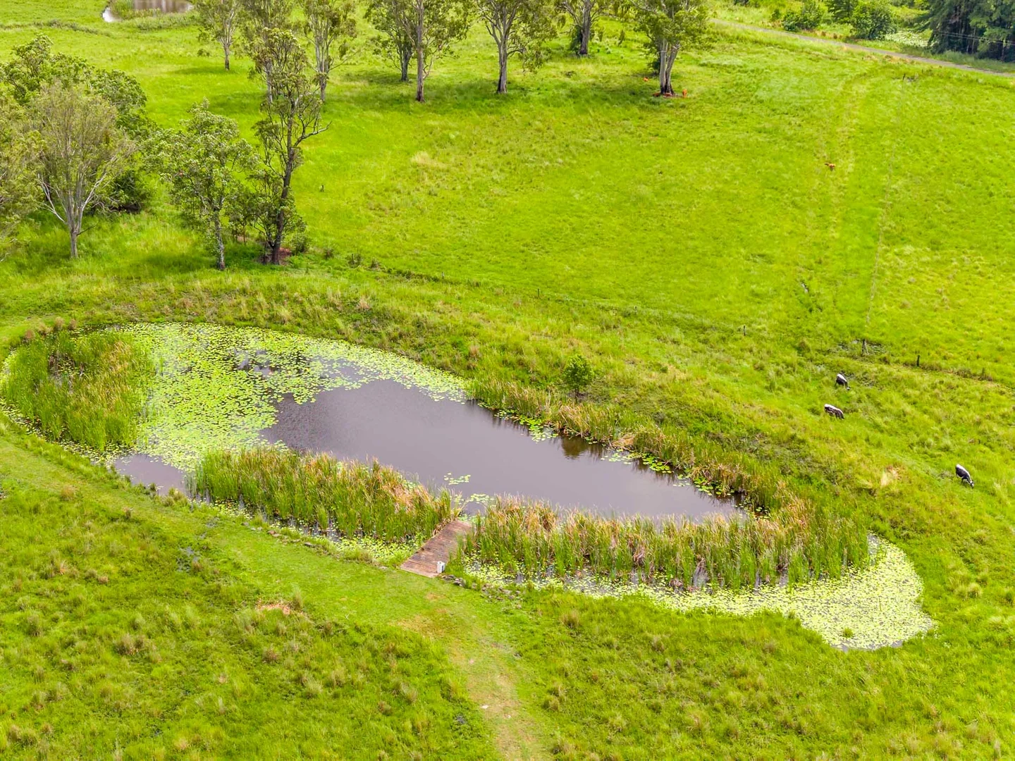 Additional image 28 of 144 Fredericks Road, Caniaba NSW 2480