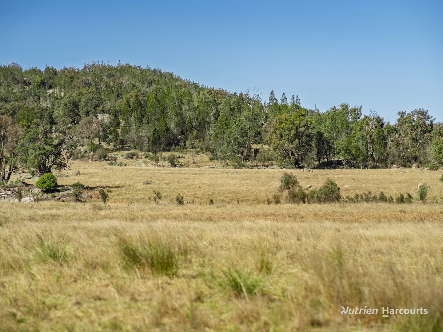 Additional image 36 of 206 - 208 Rocky Glen Road, Kingstown NSW 2358