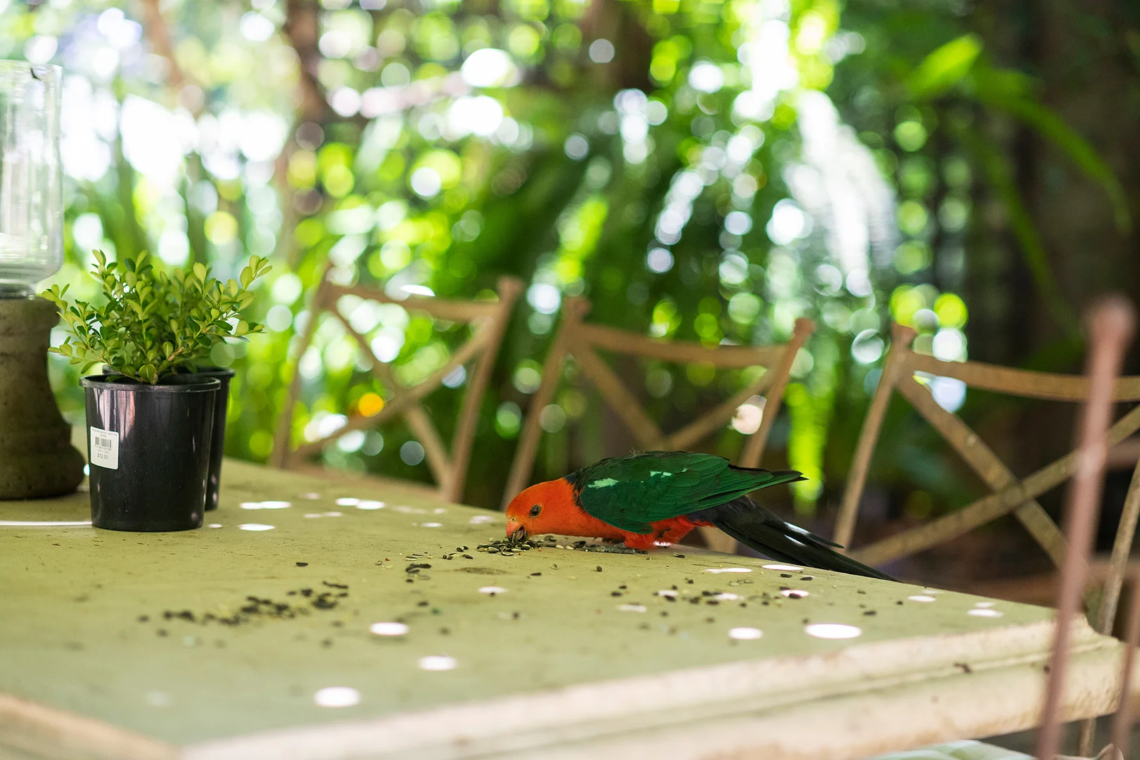 Additional image 22 of 141 Oxley Drive, Mittagong NSW 2575