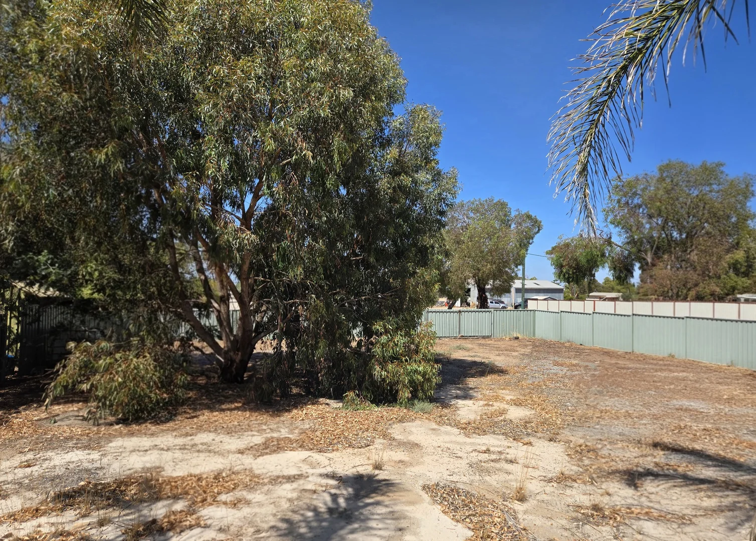 Additional image 4 of 55 HARVEY STREET, Dumbleyung WA 6350