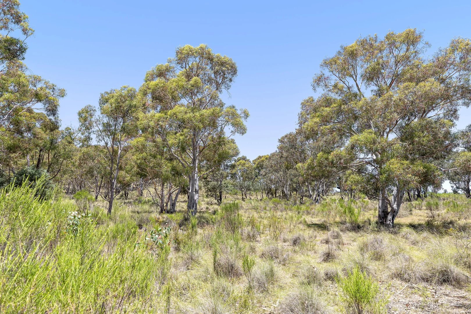 Additional image 3 of 1/188 Butts Road, Murrumbateman NSW 2582