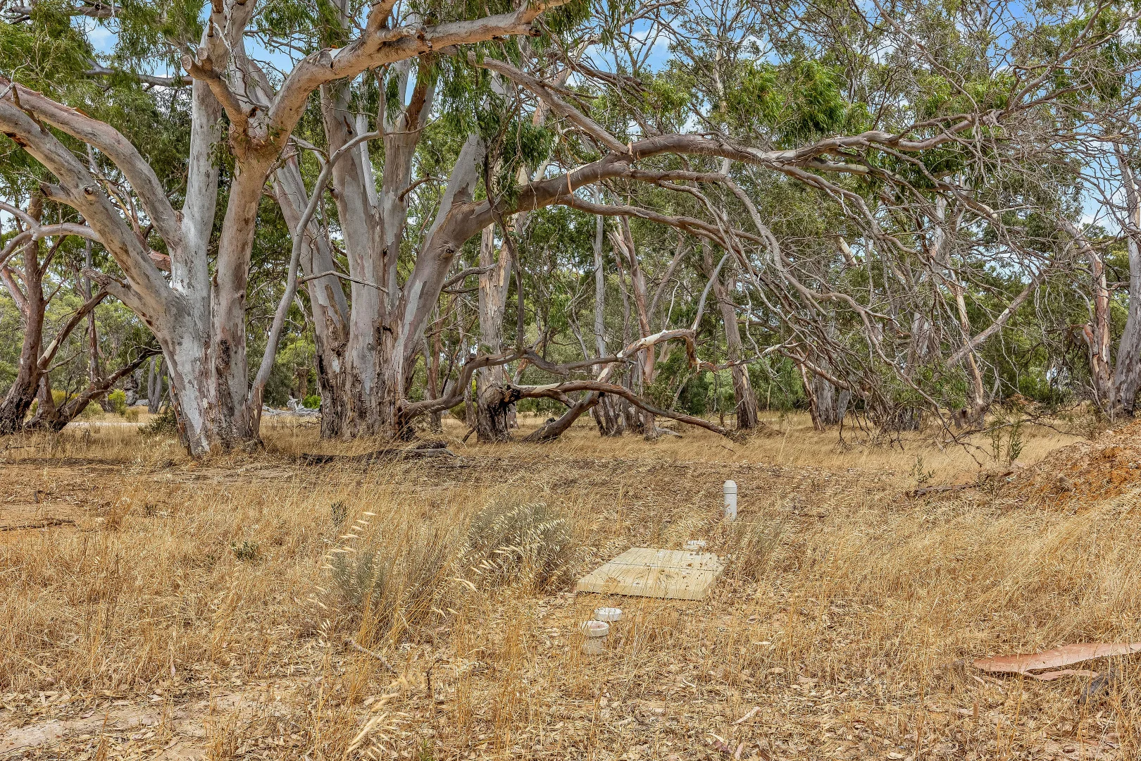 Additional image 13 of 112 Red Gum Road, Coulta SA 5607