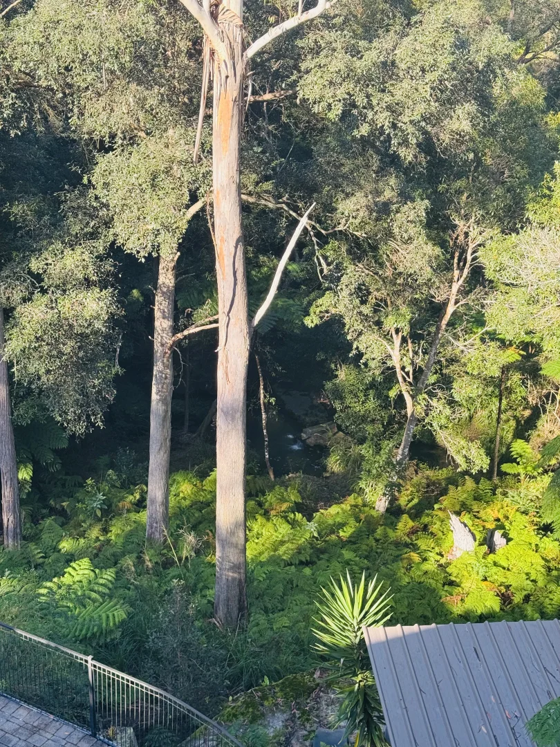 Additional image 17 of 6 Blair Place, St Ives NSW 2075