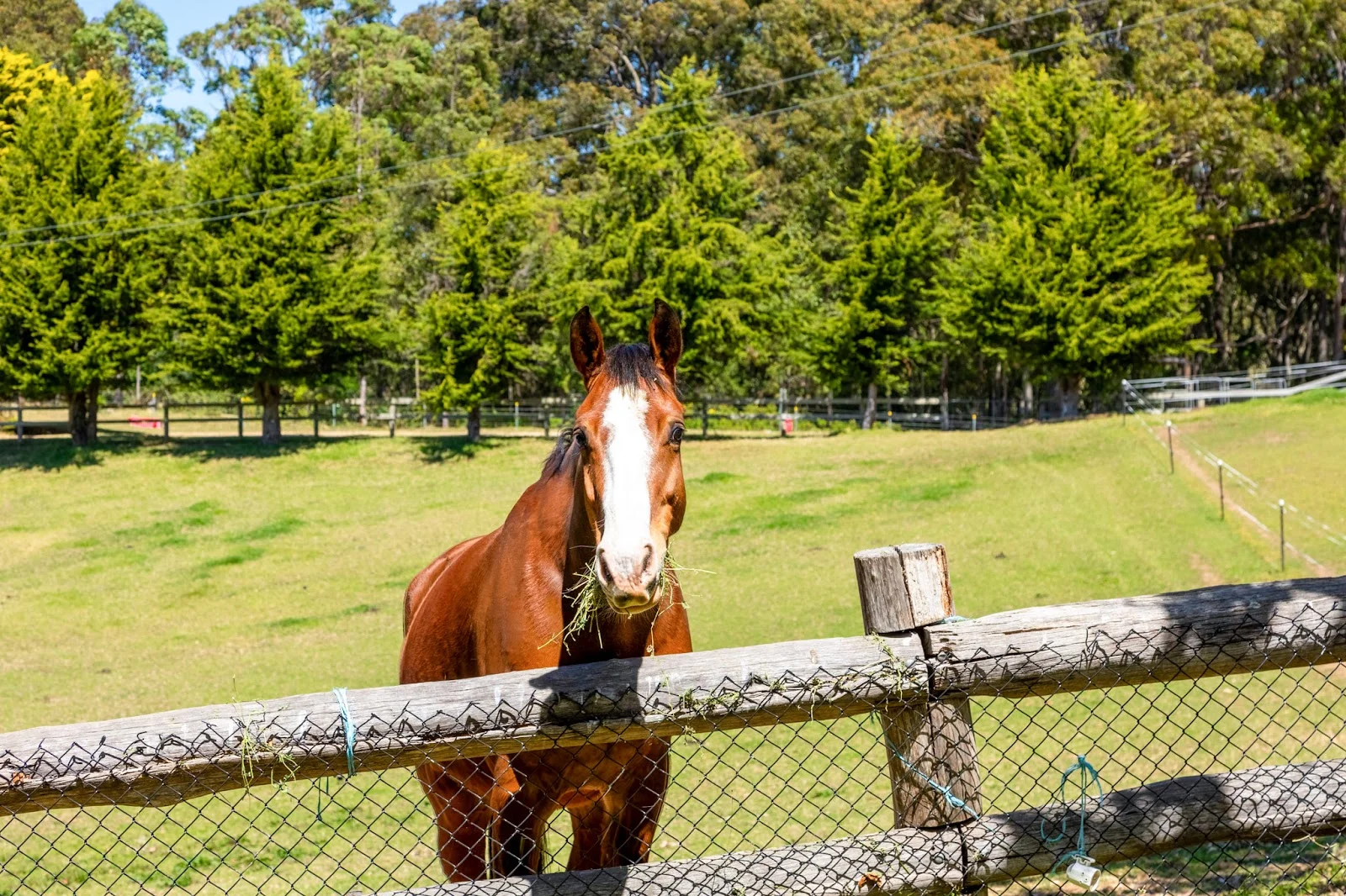 Additional image 4 of 81 Old Highway, Narooma NSW 2546