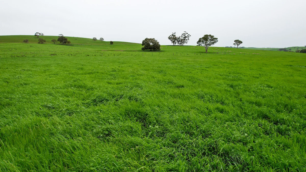 Additional image 18 of 649 Coleraine - Balmoral Road, Wootong Vale VIC 3315