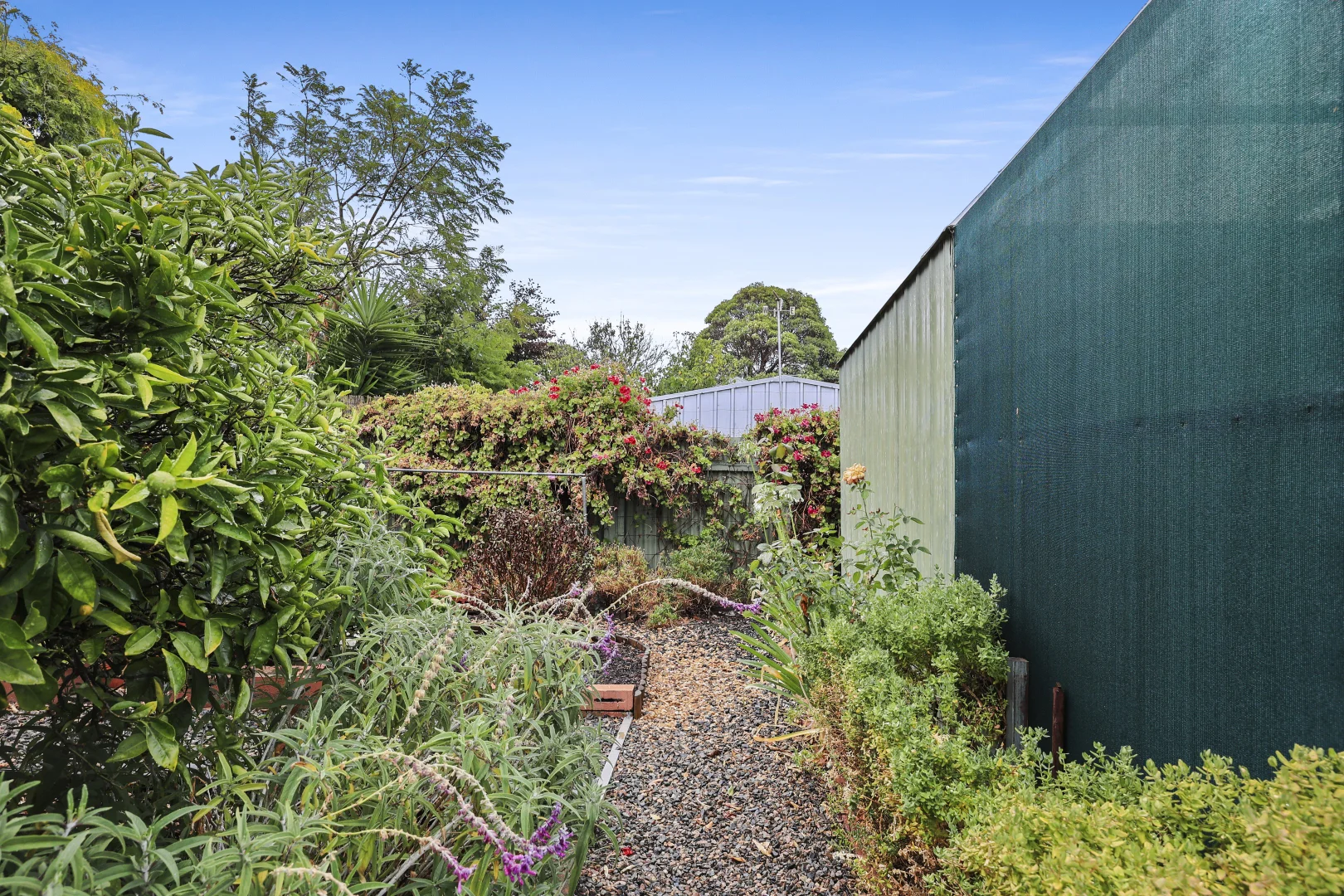 Additional image 25 of 1B Hinkler Street, Victor Harbor SA 5211