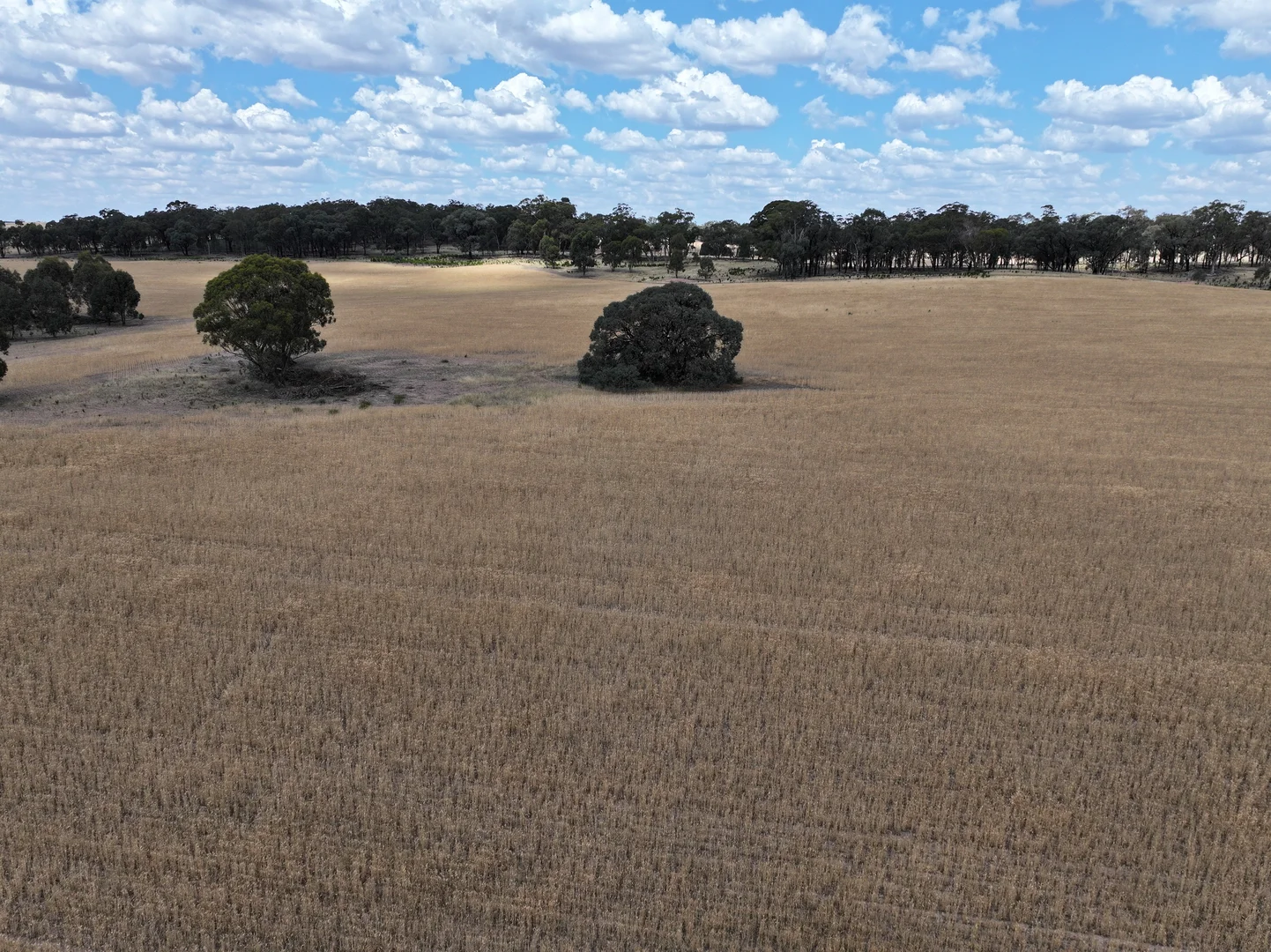 Additional image 2 of 'Quondi', Dirnaseer Road, Combaning NSW 2666