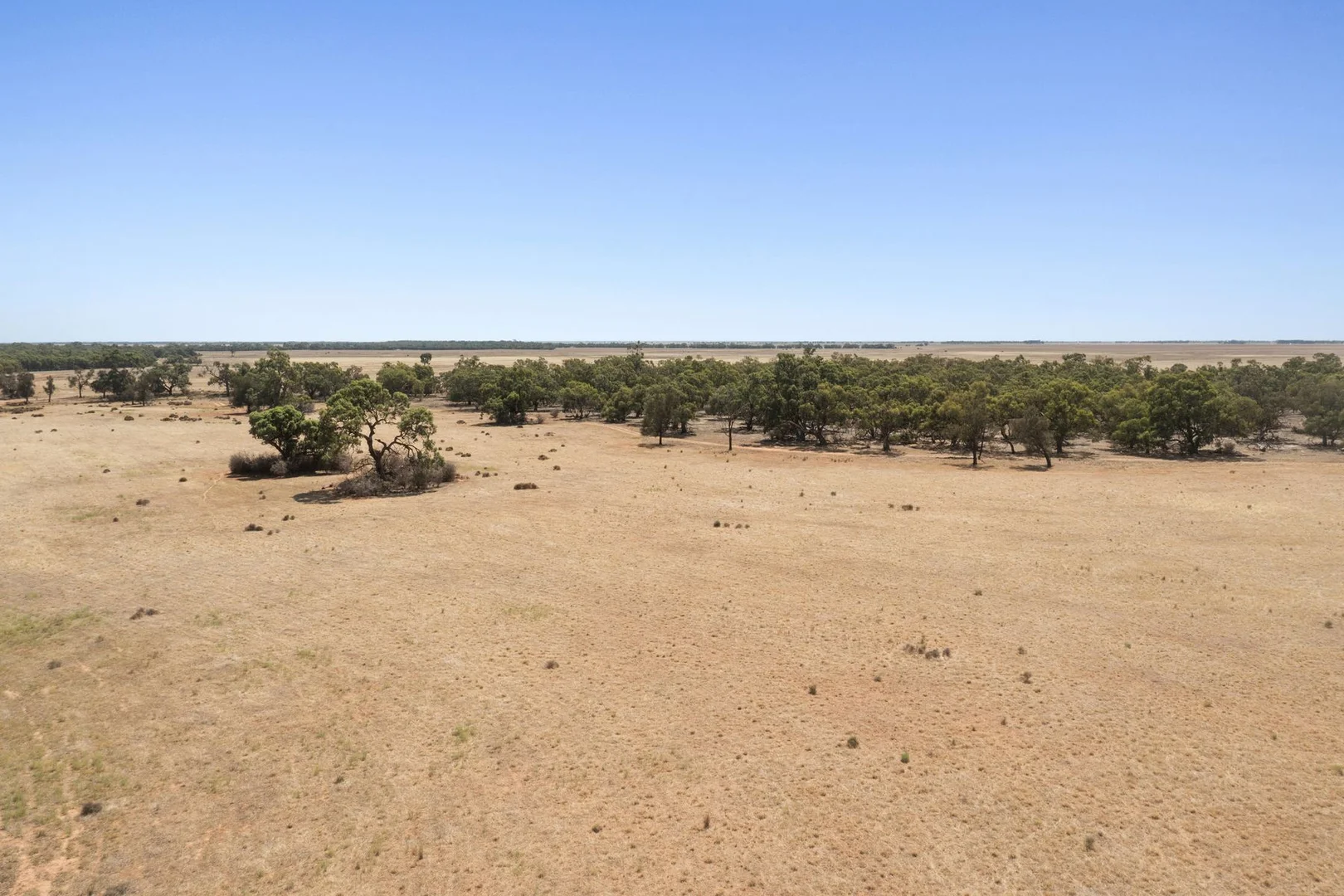 Additional image 11 of Cnr Forbes & Mitchell Roads, Mitiamo VIC 3573