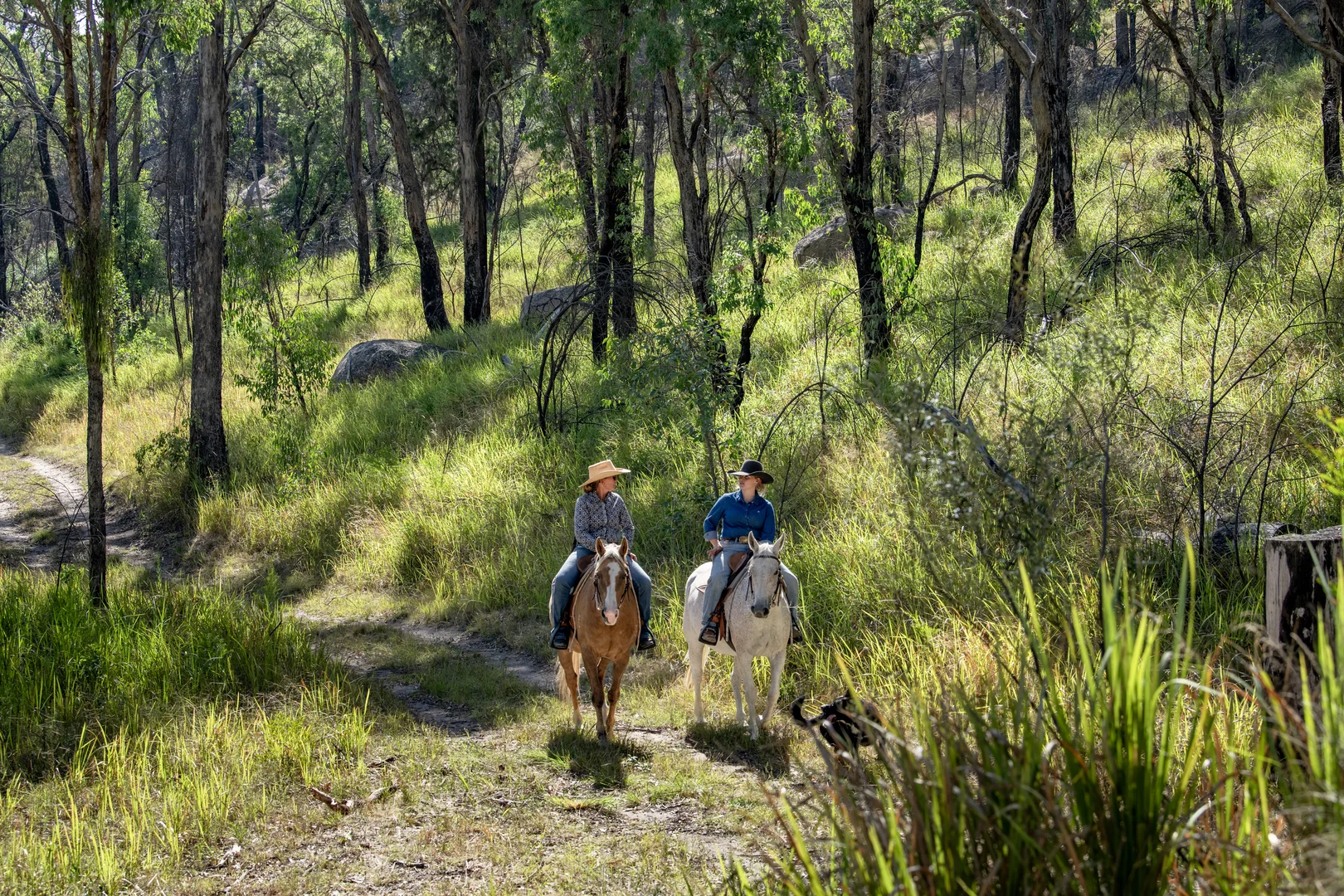 Additional image 24 of 1166 New England Highway, Tenterfield NSW 2372