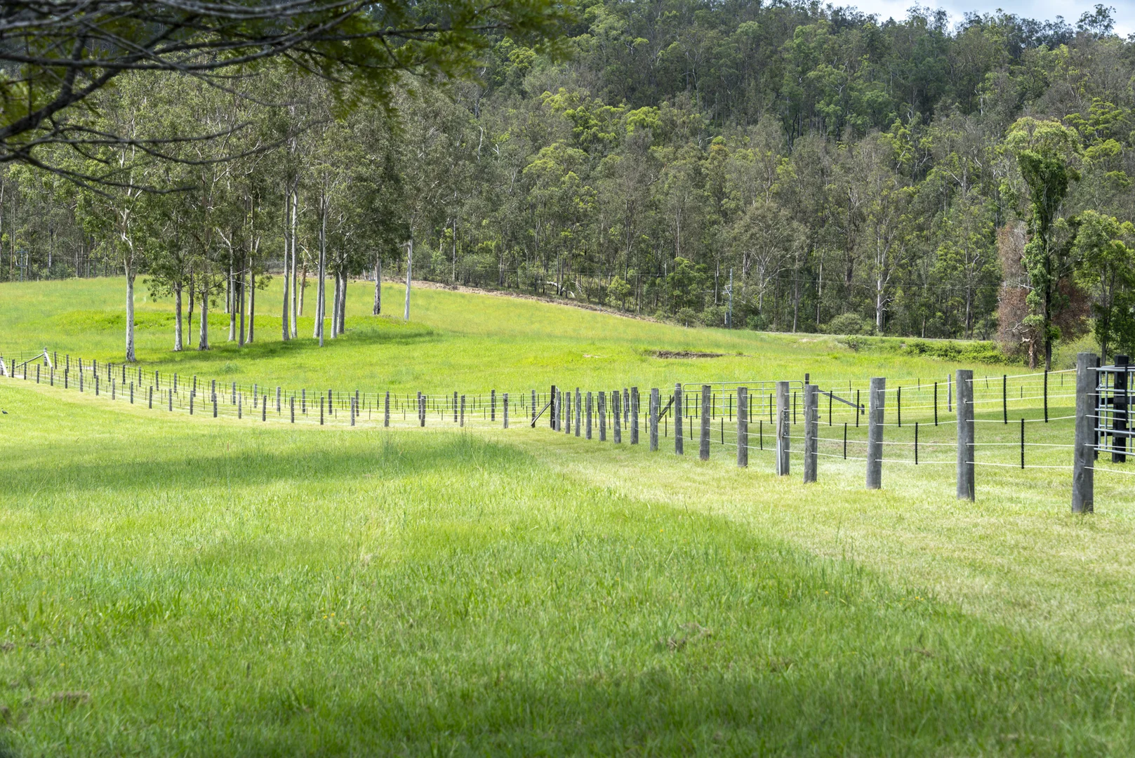 Additional image 24 of 240 Keefton Road, Woondum QLD 4570