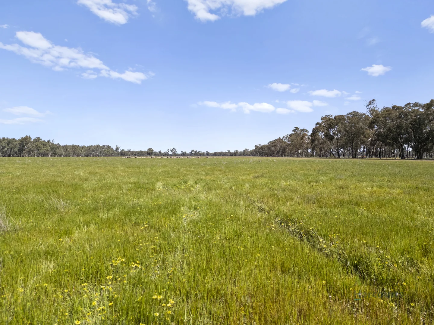 Additional image 5 of 1633 Euroa-Shepparton Road, Miepoll VIC 3666