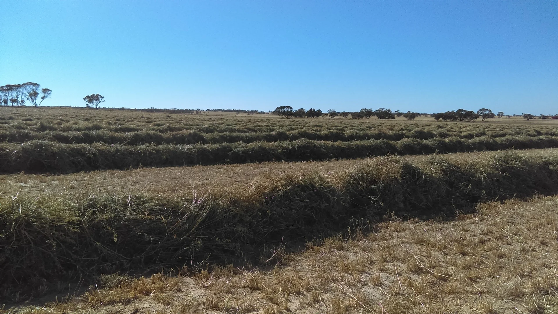 Additional image 3 of 1100 Propodollah Road, Nhill VIC 3418