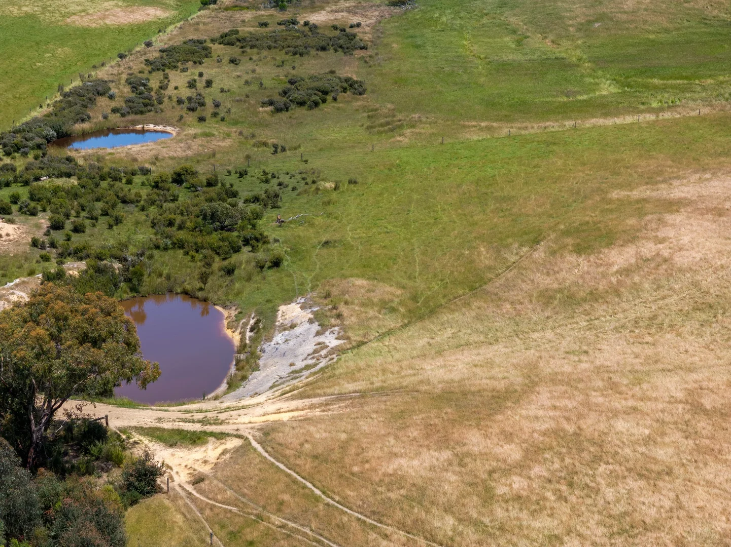 Additional image 37 of 157 Berrymans Road, Gosse SA 5223