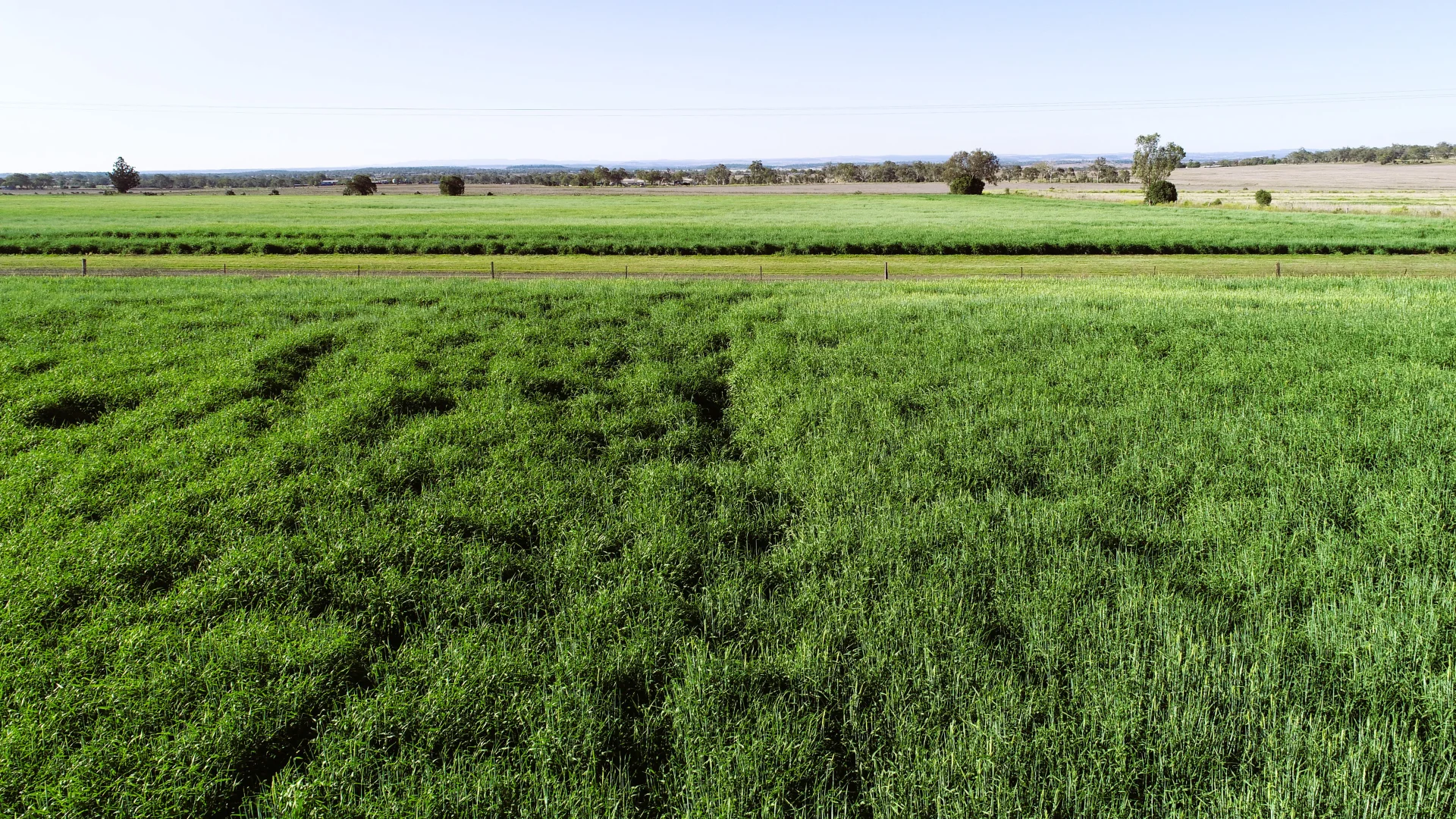 Additional image 34 of 'The Overflow' 102 Crighton Road, Biddeston QLD 4401