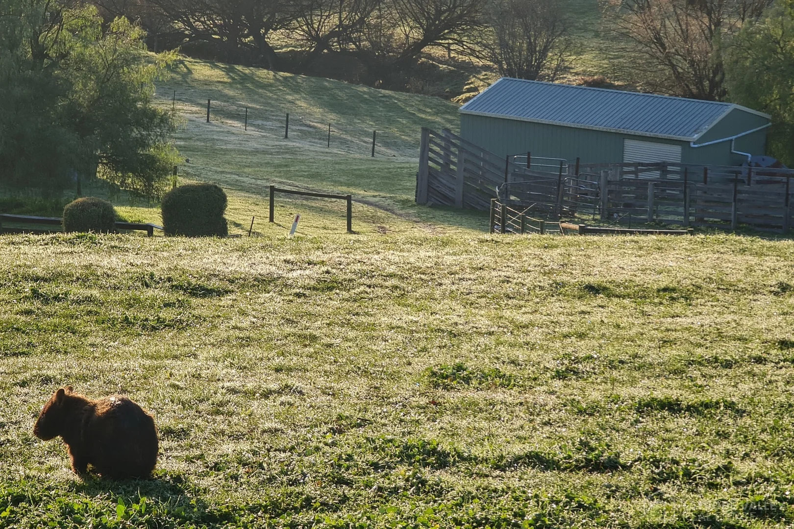 Additional image 20 of 720 Callignee South Road, Callignee South VIC 3844
