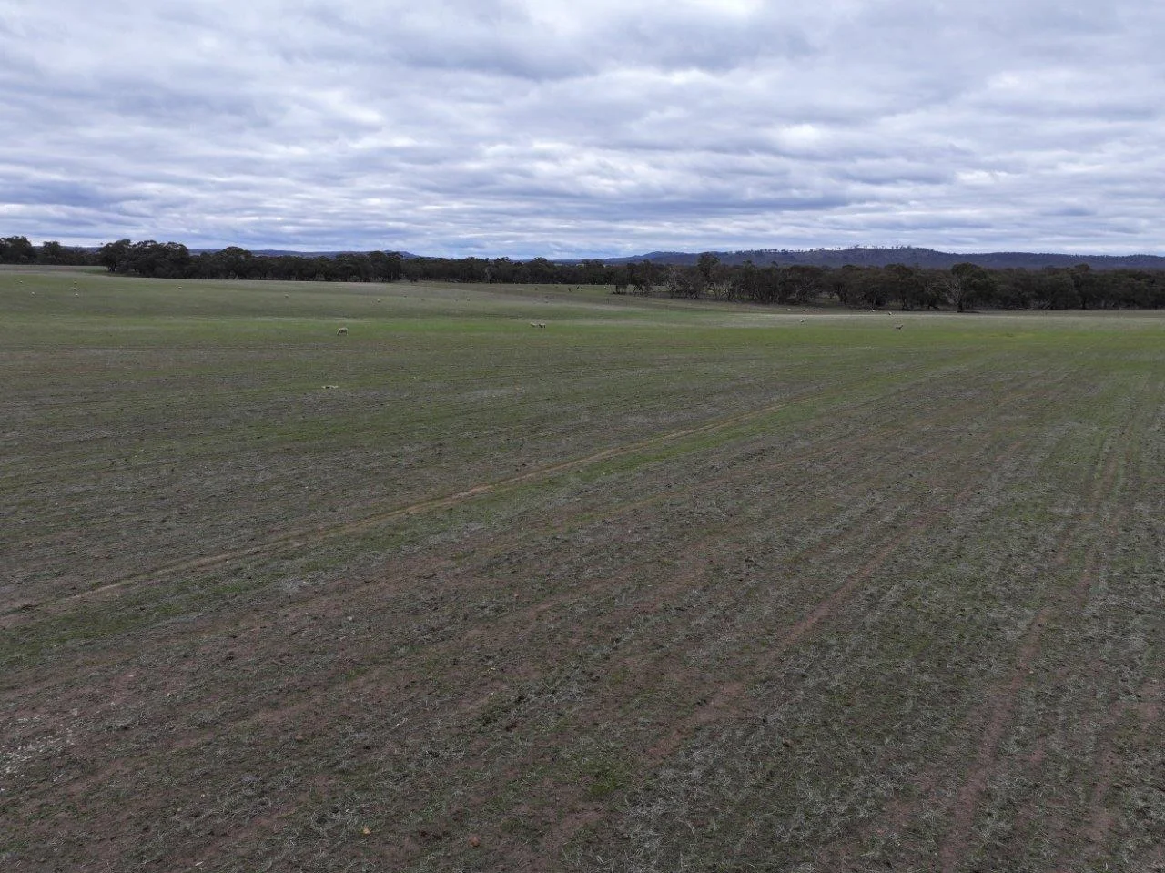 Additional image 8 of Lot 1 Rheola - Llanelly Road, Murphys Creek VIC 3551