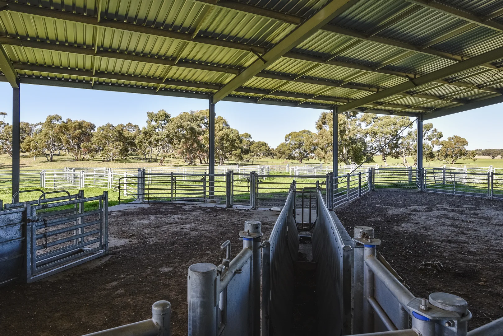 Additional image 35 of 381 & 907 Pascoe Road, Coonalpyn SA 5265