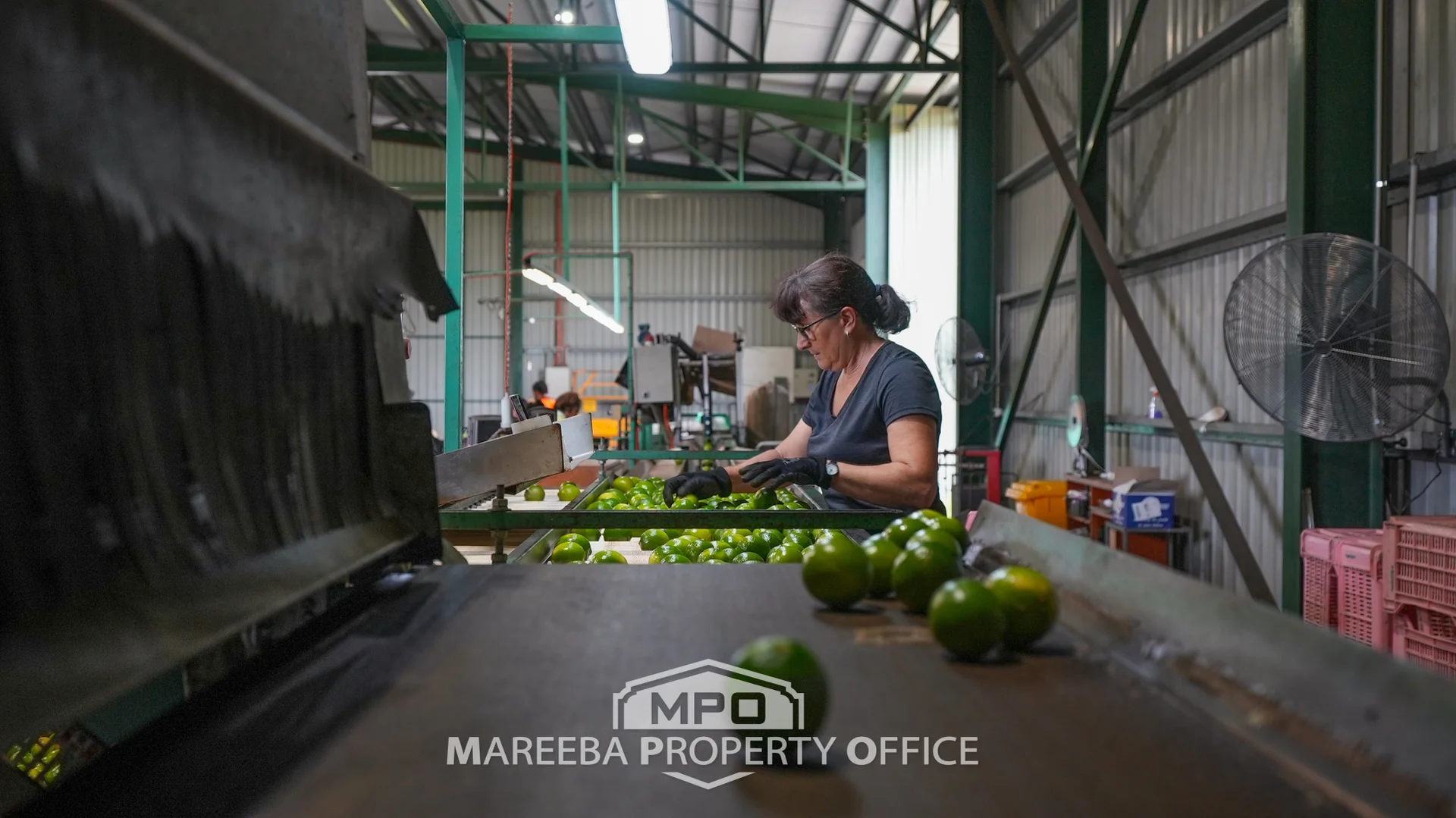 Additional image 18 of 4283 Kennedy Highway, Mareeba QLD 4880