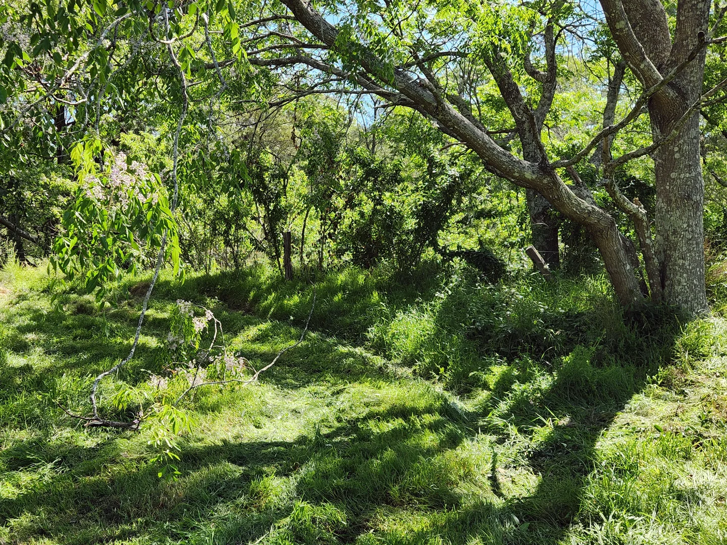 Additional image 10 of Vacy NSW 2421