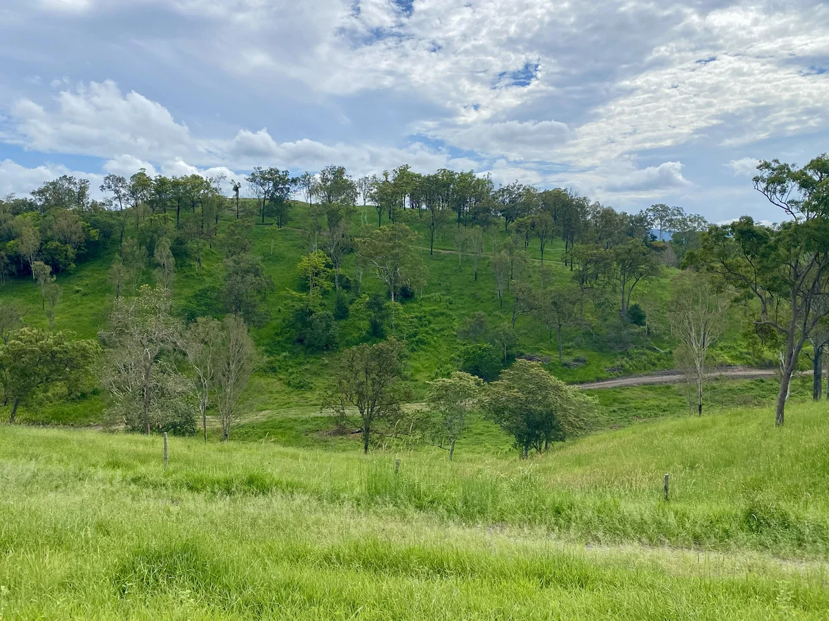 Additional image 19 of 558 Marlborough-Sarina Road, Sarina QLD 4737