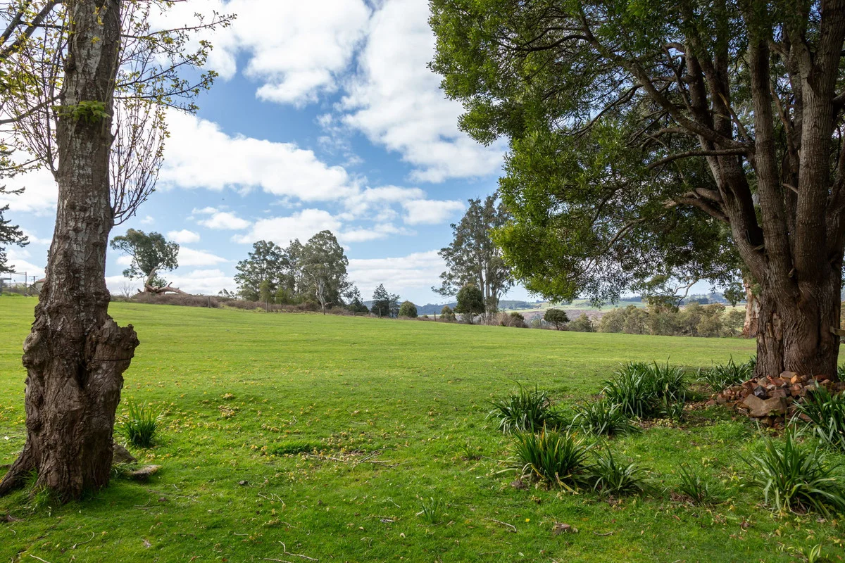 Additional image 9 of 4 John Street, Branxholm TAS 7261