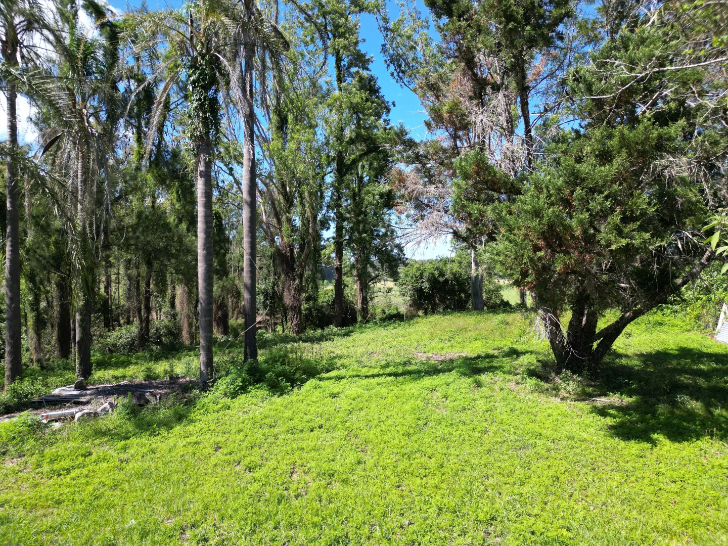 Additional image 4 of 9 Barnes Street, Tabulam NSW 2469