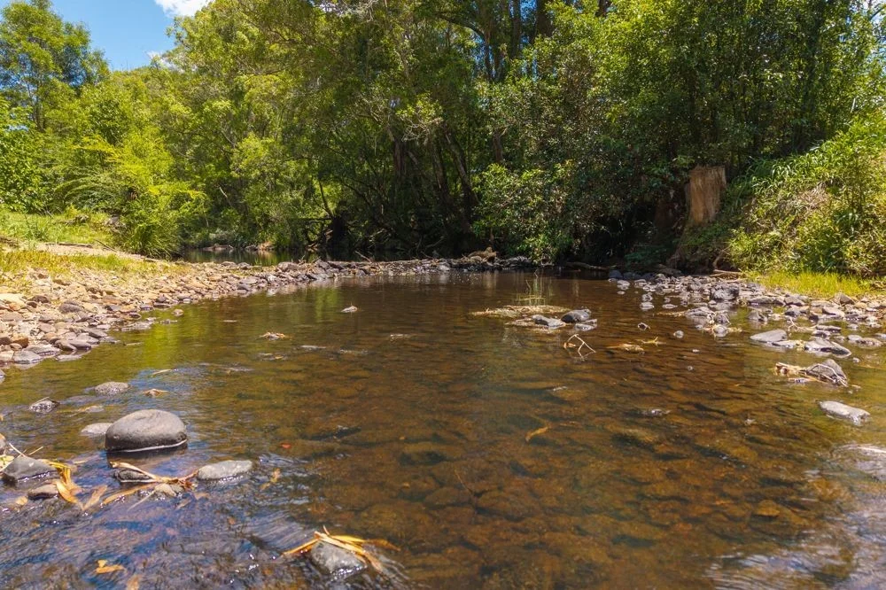 Additional image 23 of 486 North Branch Rd, Upsalls Creek NSW 2439