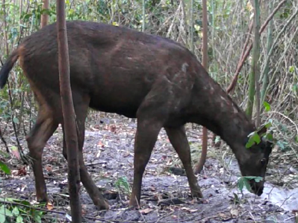 Additional image 29 of Illaroo NSW 2540